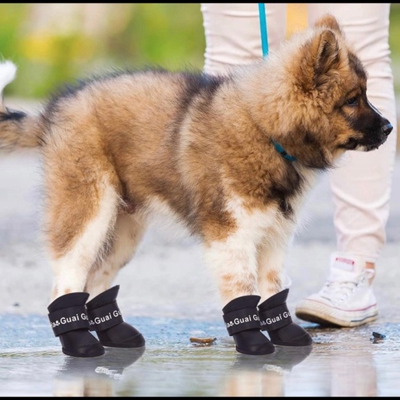 NWT 8pc Pink & Black Rainboots - Picture 5 of 7